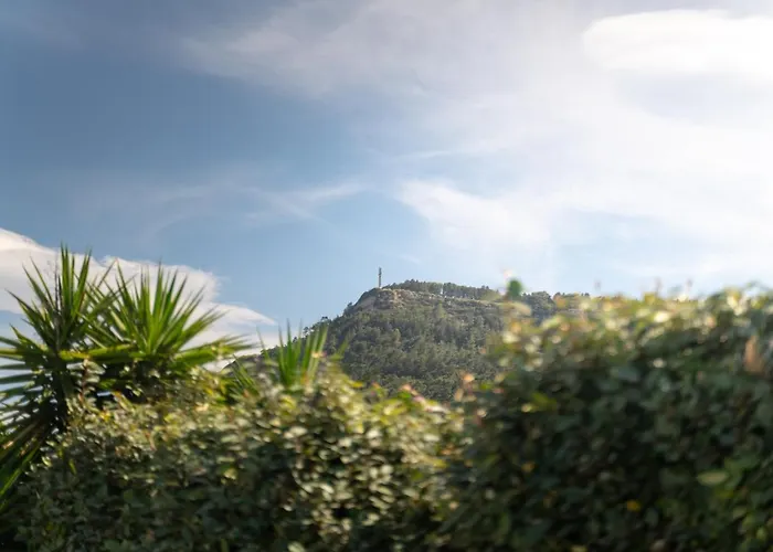 Propodes Luxury 帕斯蒂达