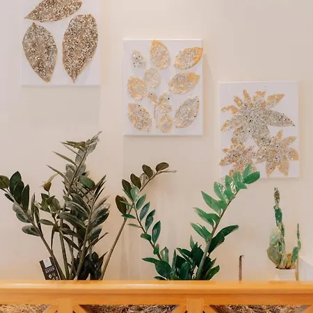 Propodes Luxury * Pastida