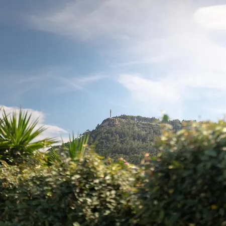 Propodes Luxury Pastida