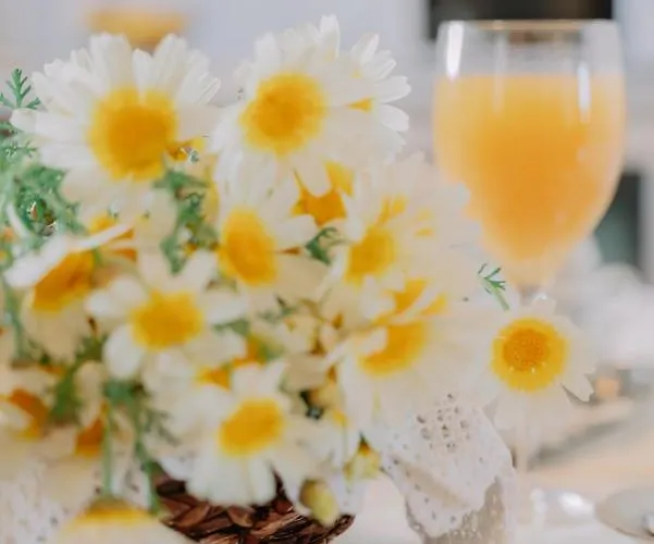 Propodes Luxury * Pastida