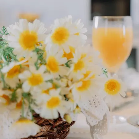 Propodes Luxury * Pastida